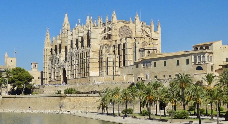 Guided tour of the Cathedral of Mallorca