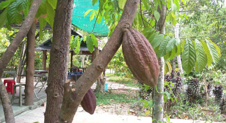 cai-rang-floating-market-a-must-visit-place-in-mekong-delta-en-4