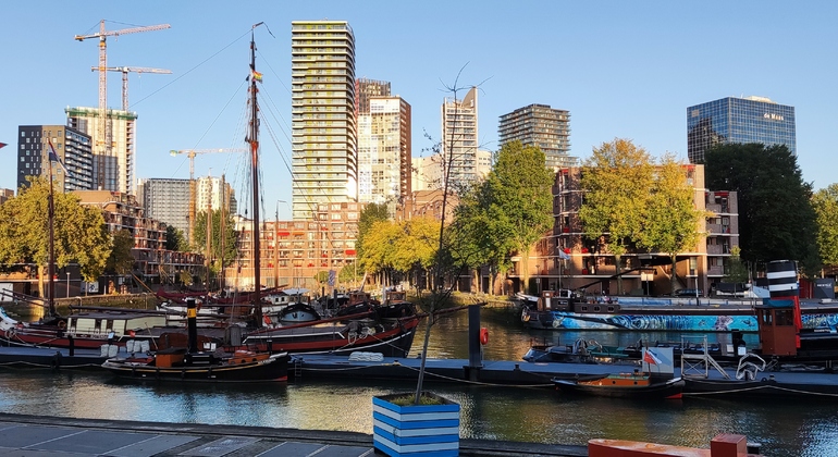 Free tour through Rotterdam