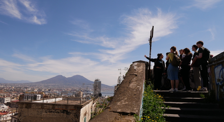 Panoramic Tour Between Rich & Poor Neighborhoods Provided by NAPLES BAY TOUR