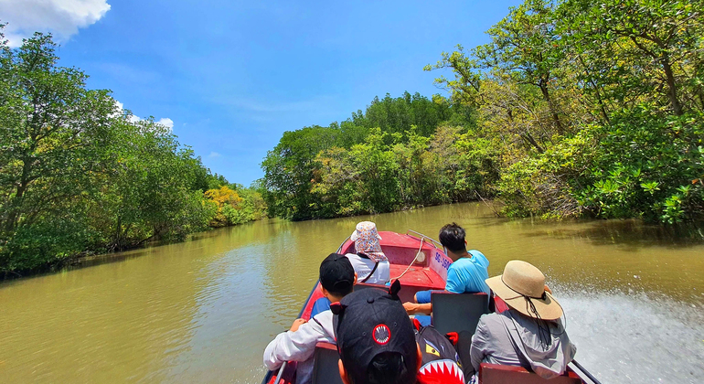 Explore Mangrove Forest - Can Gio Monkey Island by Boat & Trekking - Ho ...