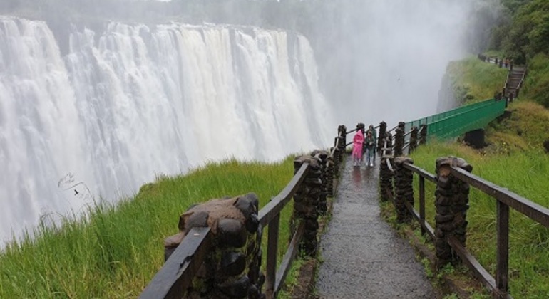 Guided Tour of the Victoria Falls