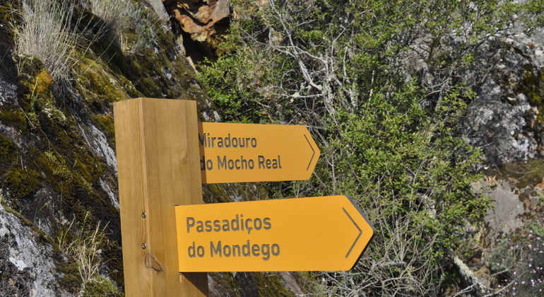 Guarda Nature Walk: Mondego Walkways Tales