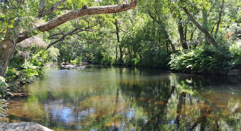 mondego-walkways-stories-from-a-trickle-of-water-en-9