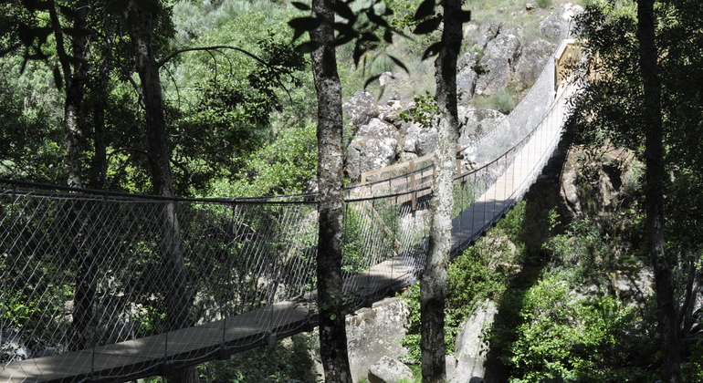 mondego-walkways-stories-from-a-trickle-of-water-en-3