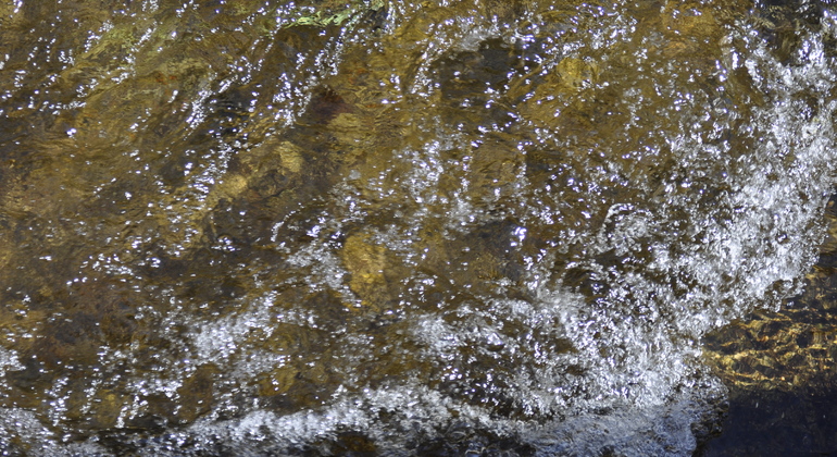 mondego-walkways-stories-from-a-trickle-of-water-en-8