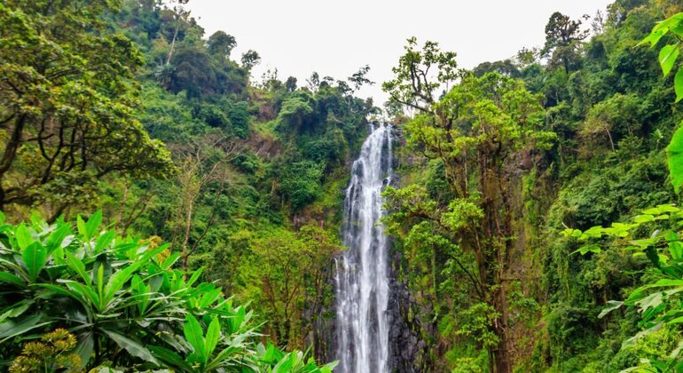 Cascada Materuni