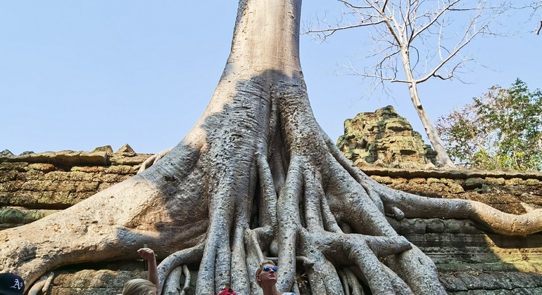 angkor-wat-temple-daily-tours-es-4