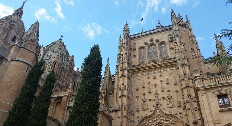 private-tour-of-salamanca-for-six-hours-es-3