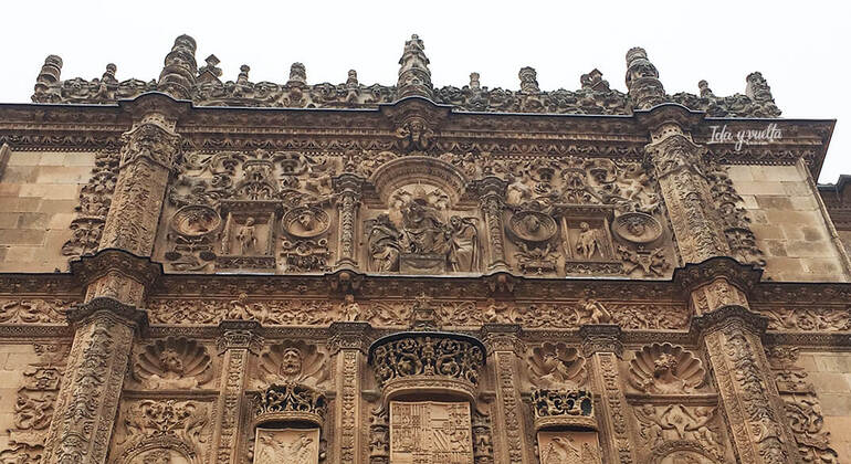 private-tour-of-salamanca-for-six-hours-en-6