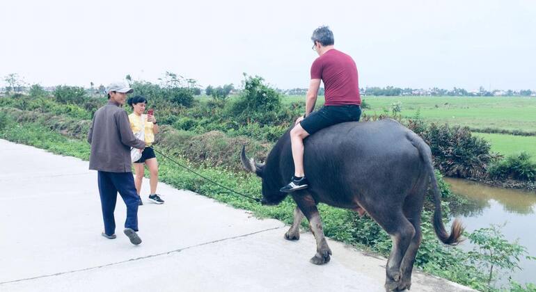 Private Tour - Water Buffalo Riding in Hoi An - Hoi An | FREETOUR.com