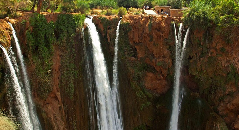 Escápese de la gran ciudad a la maravillosa naturaleza