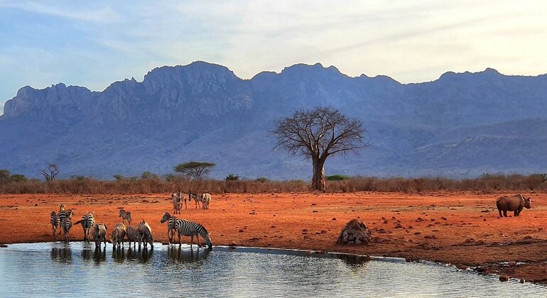 three-days-amboseli-safari-from-nairobi-es-5