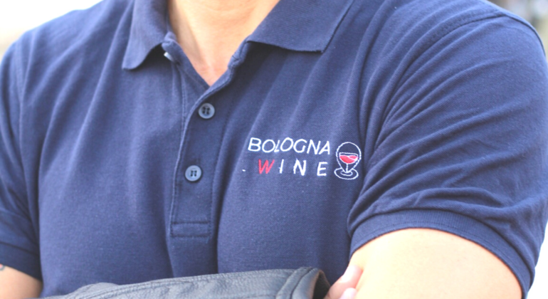 two-hours-wine-walking-tour-in-the-centre-of-bologna-es-6