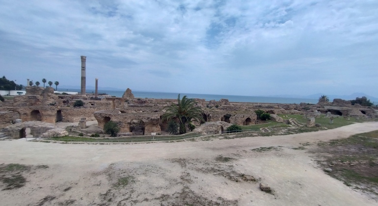 Private Tour Of Tunis Medina, Ancient Carthage & Sidi Bou Said - Tunis ...