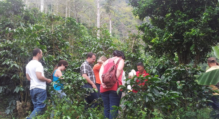 candelaria-walking-tour-es-3