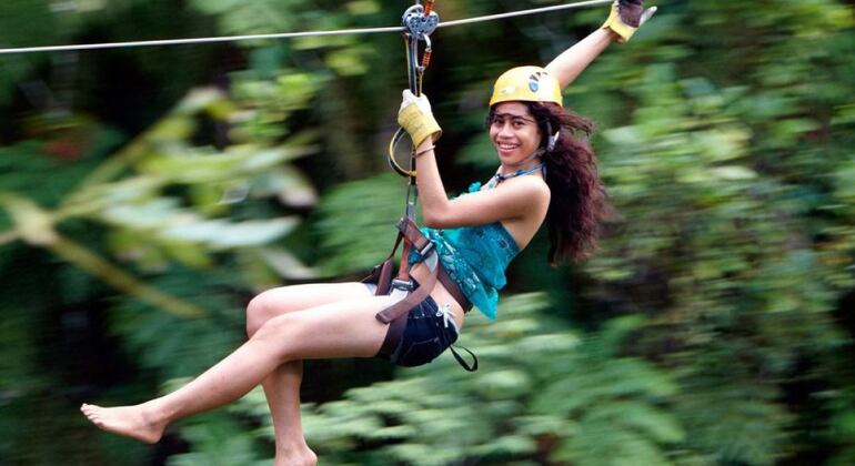 Treetops Zipline Adventure & Cave in Fiji - Nadi | FREETOUR.com