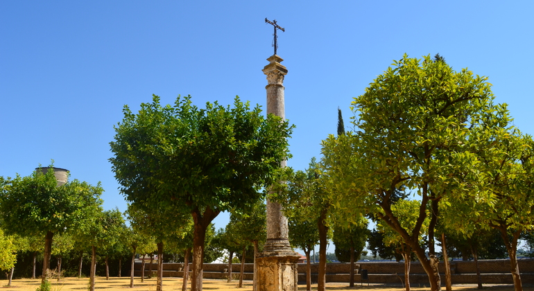 Visita-Guiada-Monasterio-de-San-Isidoro-del-Campo-1