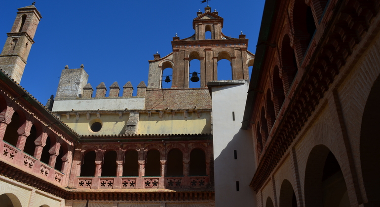 Visita-Guiada-Monasterio-de-San-Isidoro-del-Campo-4