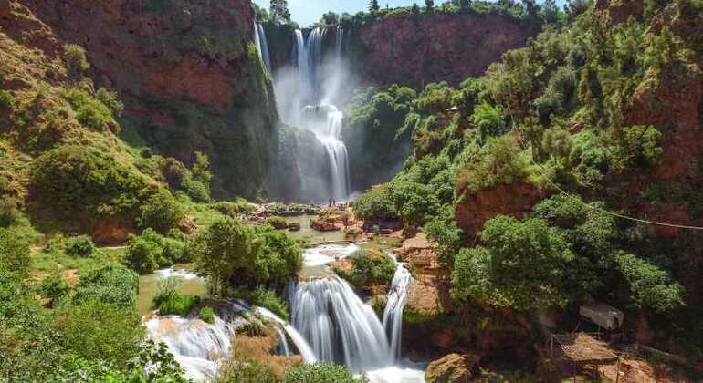 Ouzoud Waterfall Day Trip