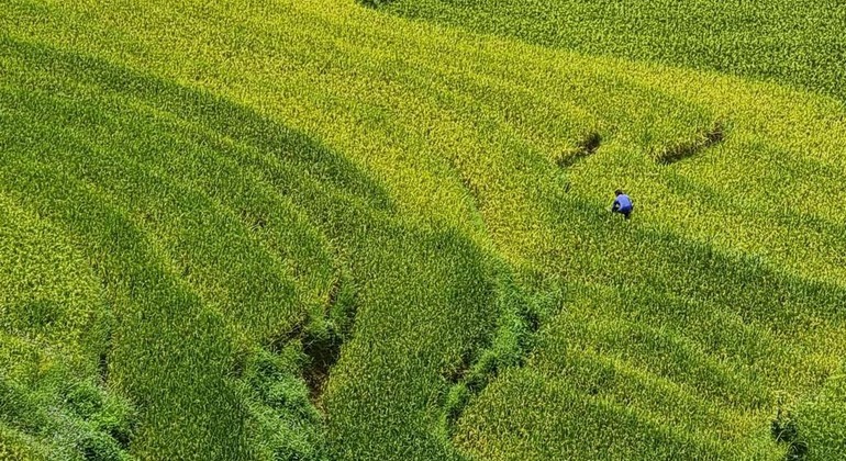 the-most-beautiful-terraced-fields-trekking-es-7