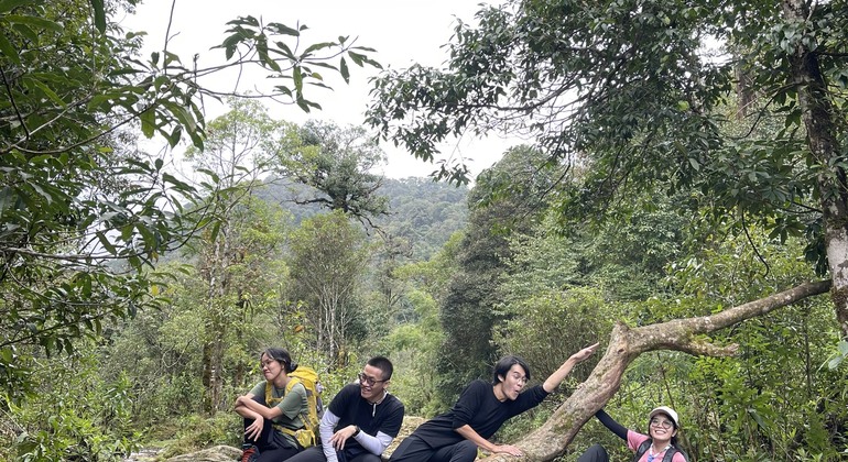 one-day-conquering-fansipan-the-roof-of-indochina-en-13