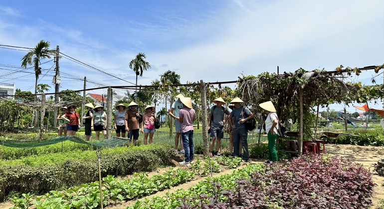 biking-cooking-class-in-vegetable-farm-es-11