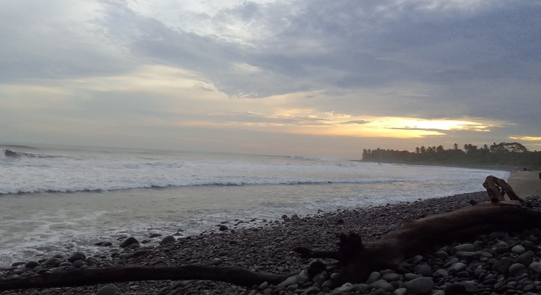 Excursión a las cuevas marinas - Surf City