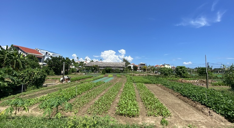 farming-fishing-life-by-bike-es-8