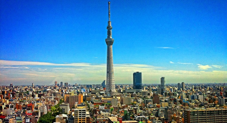 Tokyo Free Walking Tours - Tokyo Localized: Day & Night & Food Tours in  Tokyo