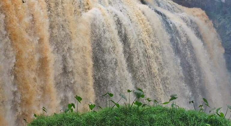 Descubra la campiña de Dalat en vehículo privado