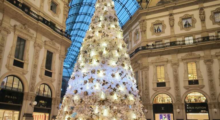 Free Tour Milan and Christmas Decorations, Italy