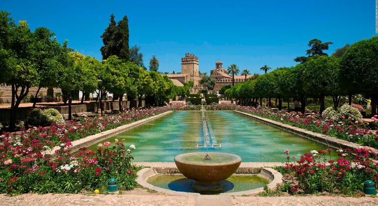 Visite de l'Alcázar de los Reyes Cristianos et du quartier juif Espagne — #1