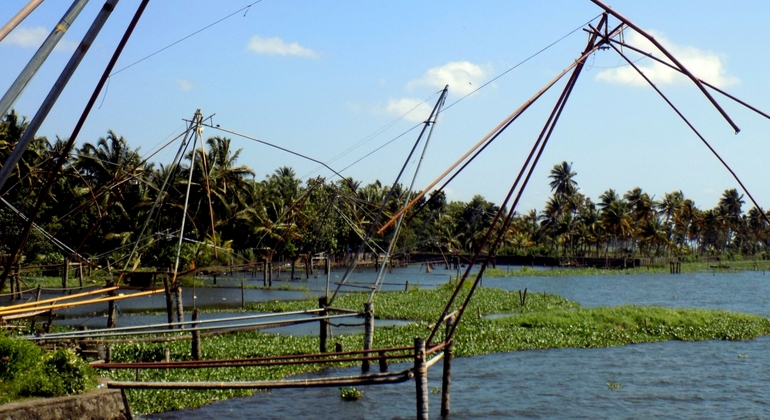 water-taxi-cruise-and-private-tour-of-kochi-es-11