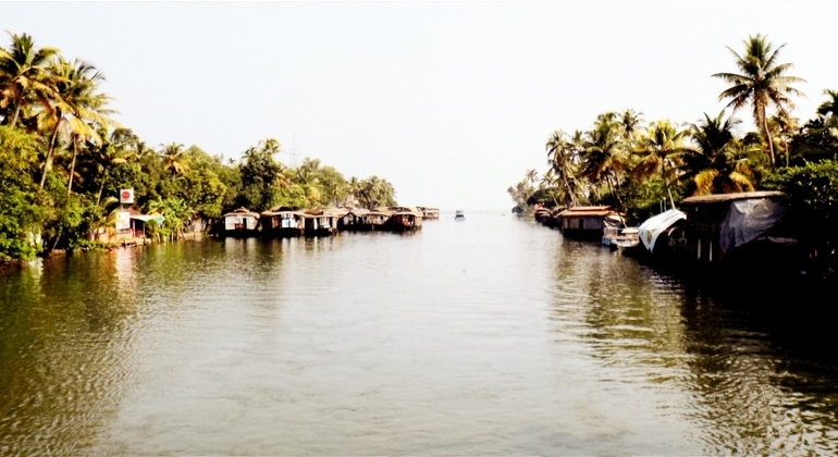 water-taxi-cruise-and-private-tour-of-kochi-es-10