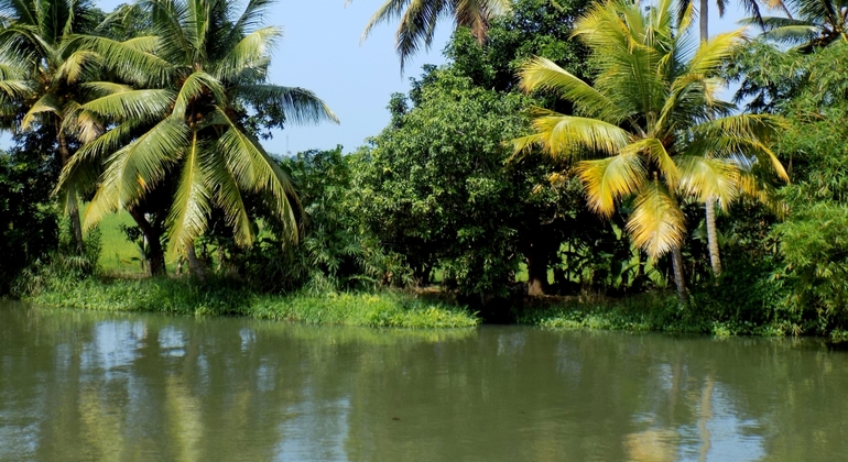 water-taxi-cruise-and-private-tour-of-kochi-es-9