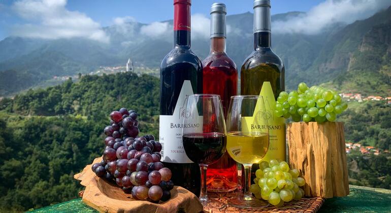 madeira-wine-tastings-vineyards-skywalk-es-1