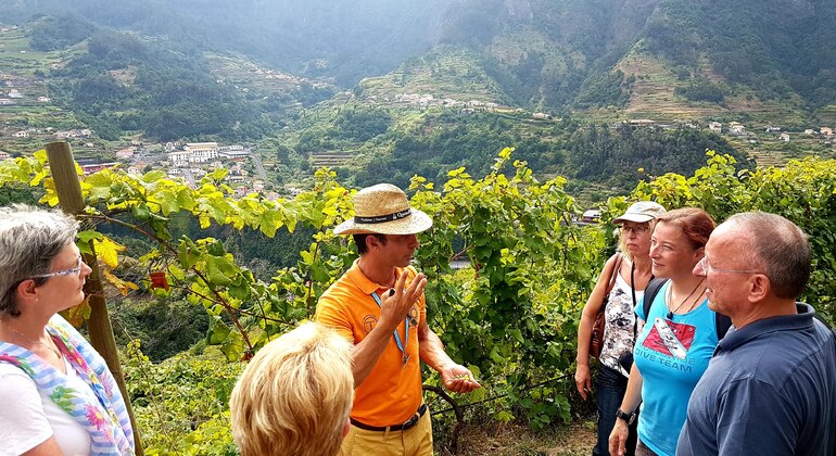 madeira-wine-tastings-vineyards-skywalk-es-2