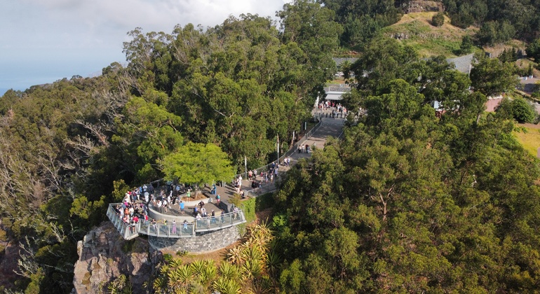 madeira-wine-tastings-vineyards-skywalk-es-4