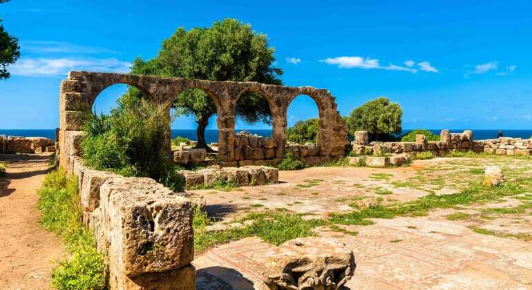 Visita guiada a la ciudad romana de Tipaza