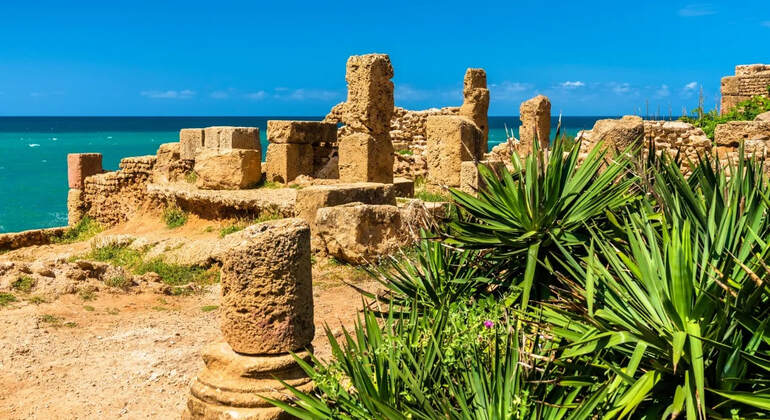 roman-city-of-tipaza-guided-tour-en-1