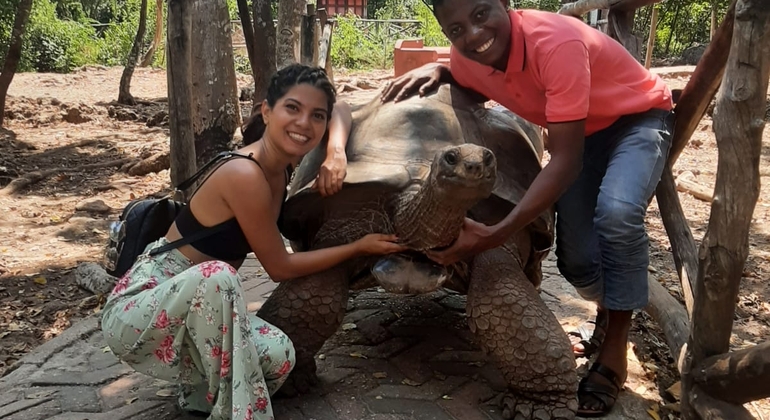 Visite de l'île-prison pour voir des tortues géantes 