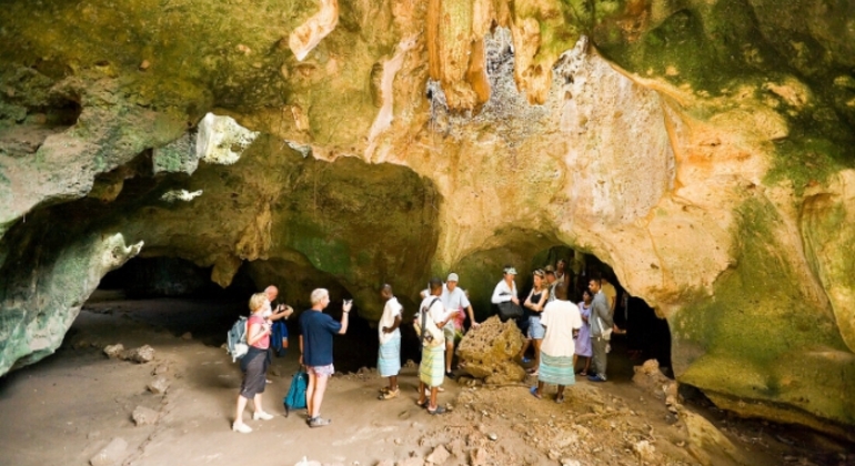 Nature Free Tour Trail of Oloolua