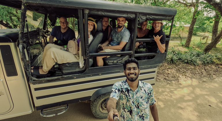 Safari de medio día por el Parque Nacional de Kumana