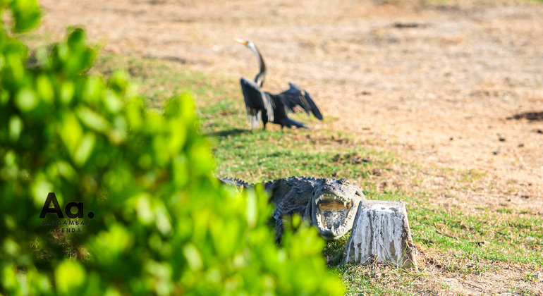 half-day-wildlife-safari-in-kumana-national-park-es-14