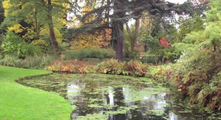 Cactuses & Autumn Colours Arboretum Trompenburg + Hike Old Kralingen