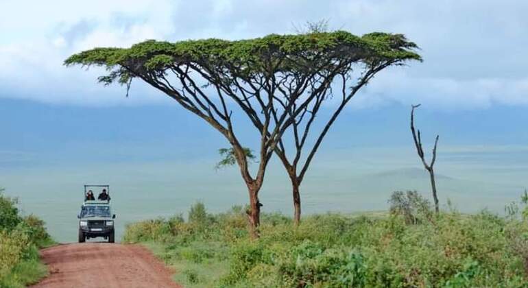 Cratère du Ngorongoro en Tanzanie La plus grande caldeira intacte du monde Tanzanie — #1