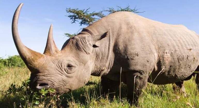 tanzanias-ngorongoro-crater-is-the-worlds-largest-intact-calder-es-4