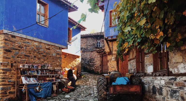 Visita a lugares históricos y delicias culinarias