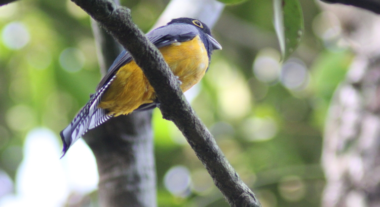 bird-watching-in-cancun-es-1